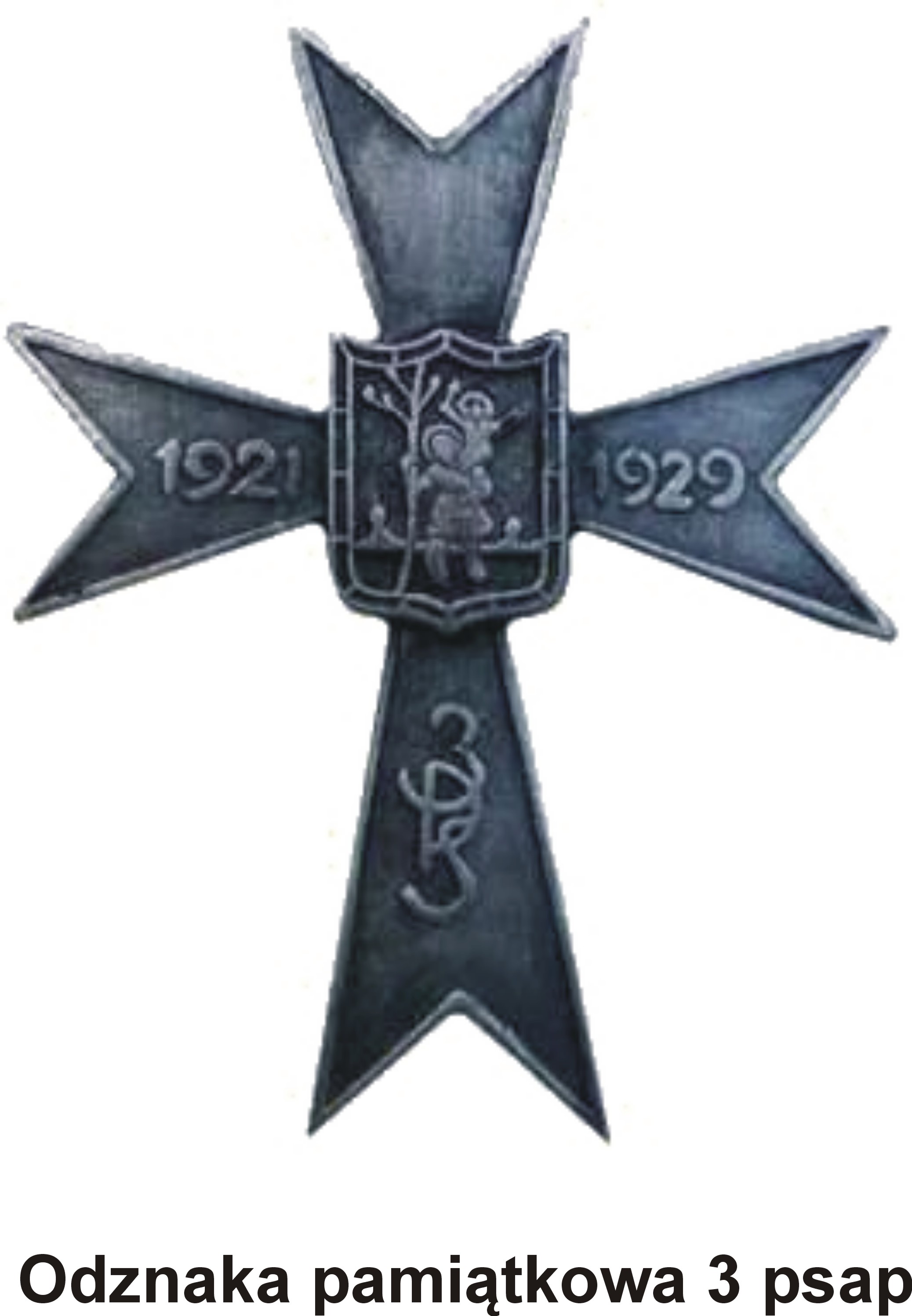 odznaka-pamic485tkowa-3-psap